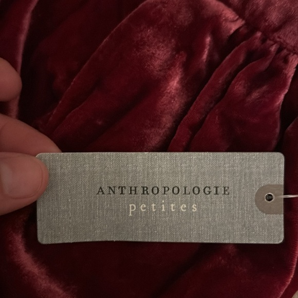 NWT Anthropologie Montie Velvet Mini Skirt Size 4P - Picture 7 of 8